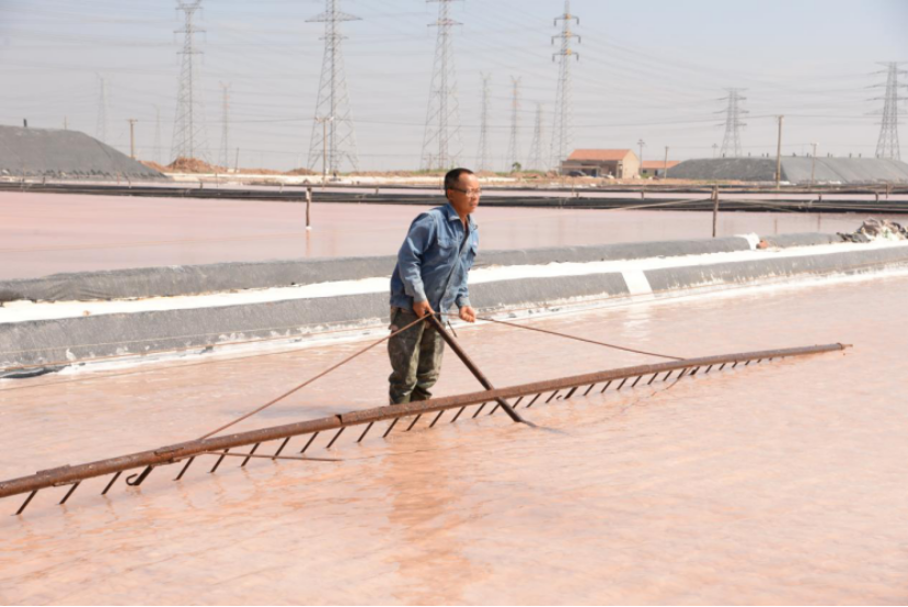 赏金国际集团：战高温斗酷暑，致敬坚守一线的最美赏金国际人！